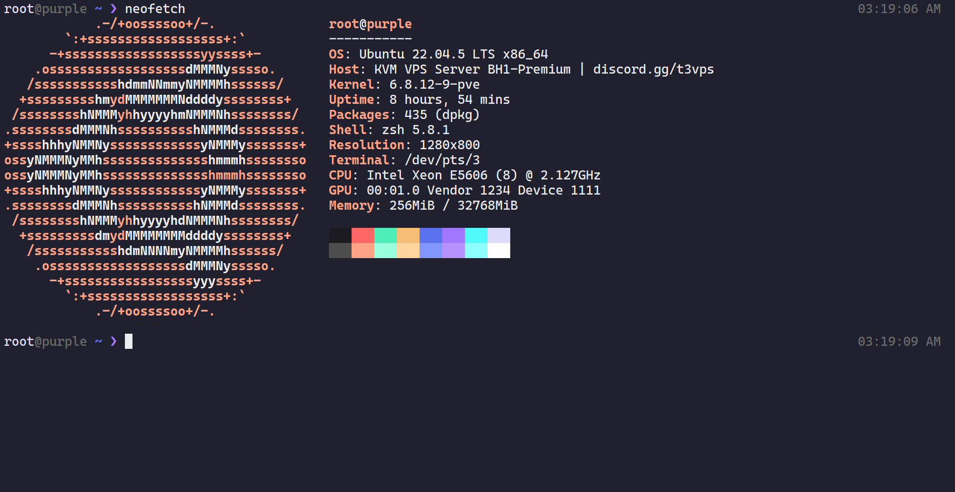 Neofetch output from a KVM-i7 VPS